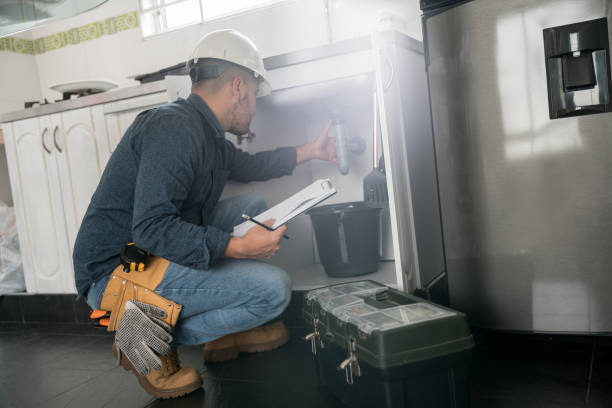 Best Toilet Repair Services  in Johnson Lane, NV