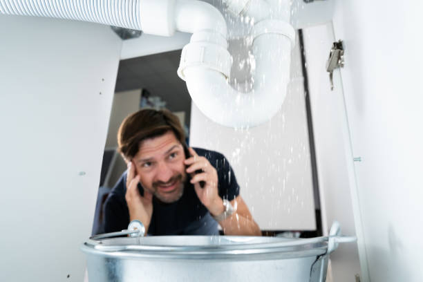 Best Boilers & Radiators  in Johnson Lane, NV