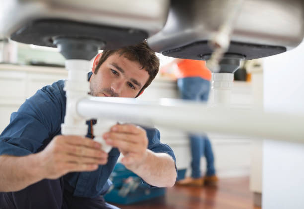 Best Plumbing Repair Near Me  in Johnson Lane, NV